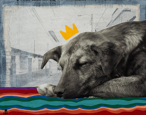 El Rey Dormido (8x10)